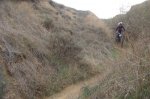 DSC02041.jpg