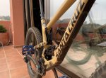 IMG_1650.jpeg