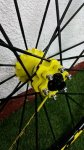 mavic 5.jpg