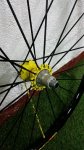 mvic 2.jpg