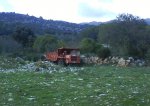 DSC01423.JPG