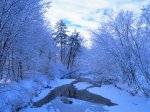 Wallpaper - Paisajes - Nieve 001 [ Shared by DaVinci ].jpg