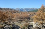 DSC02061.jpg