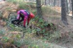 DSC02066.jpg