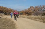 DSC02074.jpg