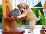 mi_primer_amigo-1024x768.jpg