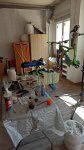 IMG-20200329-WA0009.jpeg