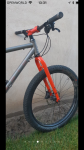 608D0086-0851-43B6-B8B9-40A94502AB32.png