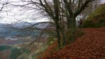 P1030254+ (Large).jpg