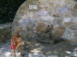 Castell de borriac 018.jpg