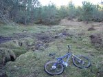 DSC01520.jpg