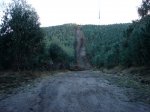 DSC01532.jpg