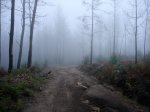 DSC01541.jpg