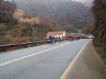 Pc020055.jpg