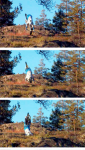leikonen.png