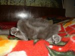sonya_028.jpg