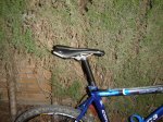 DSC00274.JPG