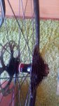 IMG-20200525-WA0033.jpg
