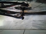 IMG_20200522_105429_924.jpg