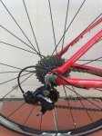 bici amp c2.jpg