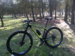 cannondale.jpg
