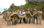 big snake.jpg