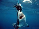 All-OK-Dive-Buddy.jpg