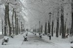 paseonevado-custom;size_548,365.jpg