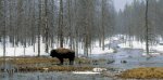 Buffalo-River.jpg