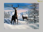 ciervos in the snow.jpg