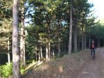 DSCN2535.JPG