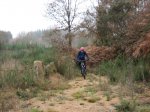 IMG_4012.JPG