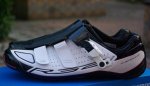 R321. v2.jpg