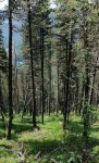 IMG-20200702-WA0001.jpg