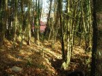 foto9.JPG