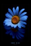 forever____my_love_by_werol.jpg