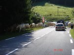 DSC04131.JPG