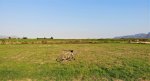 DJI_0012.JPG