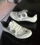 IMG_20200803_070200.jpg