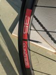 MVIMG_20200809_090244.jpg
