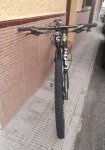 IMG_20200808_141319.jpg