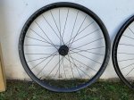 CB7EFAB3-C89E-4331-9FFA-D226291035D2.jpeg
