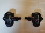 IMG_20200822_112023.jpg
