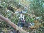 DSC00115.JPG
