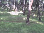 DSC00099.JPG