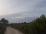 Imagen056.jpg