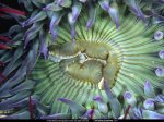 National Geographic Wallpapers 009.JPG