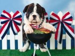 The Grill Master.JPG
