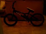 bmxchica1.JPG