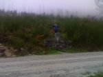 08122007219-1.jpg